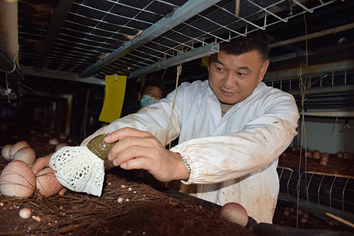 梅营社区：就业在“幸福里” 生活在幸福里1.jpg