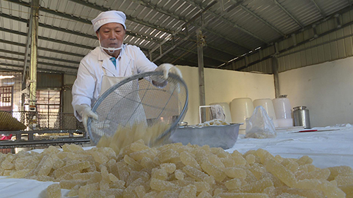 冬瓜蜜饯，一方水土的味觉记忆.jpg