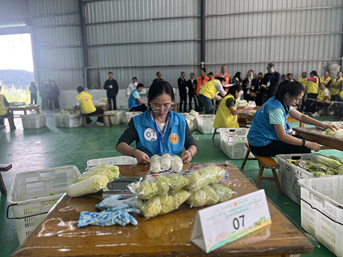 净菜包装赛开赛 助推云菜产业提质.jpg 净菜包装赛开赛 助推云菜产业提质.jpg